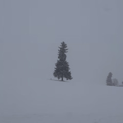 SOMA_바람이 될게