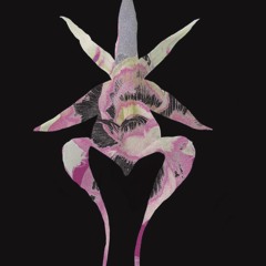 As Within, So Without