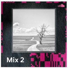 My Mix 2
