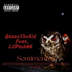 sentimentos ( feat. lil dash66 )