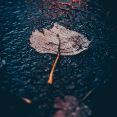 雨の届かない場所で