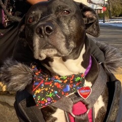 Heart Full Of Darkness by Stylez-Tect x (M3)