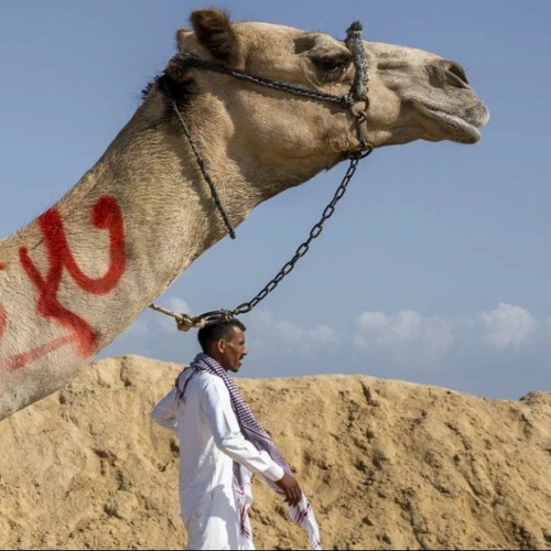 إشارات | Traffics