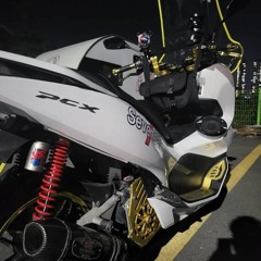 Bike Horm-Arkins/1.25배속 (추천 by "퀵다이")
