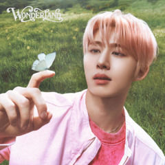 B.I (비아이) 3RD FULL ALBUM [WONDERLAND] Playlist