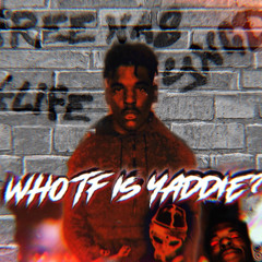 Free Nas