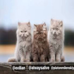 #одержимые