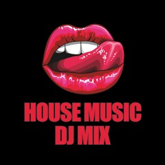 House Mix 4 (Imani Williams | Lost Frequencies | Paul Woolford | Diplo | Prince Karma | Ofenbach)