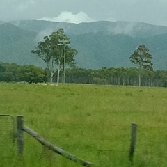 Clouded
