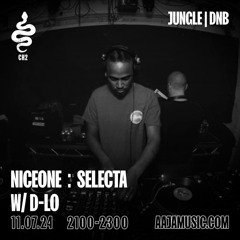 Niceone : SELECTA w/ D-LO | JULY 24 | Aaja Music
