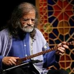 جلال ذوالفنون بی همگان به سر شود