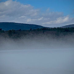 Neither a Layman nor a Monk