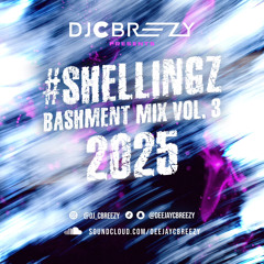 #Shellingz Bashment Mix Vol.3 2025