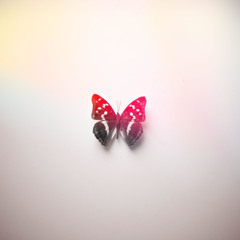 All Comes (feat. Gry)