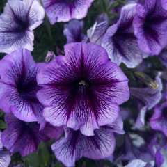 Wonder (freestyled) Prod.wxsted