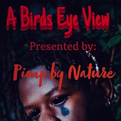 Concept 2. (The Reaper)