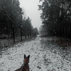 Машина Времени Поворот (Phonk Edition)