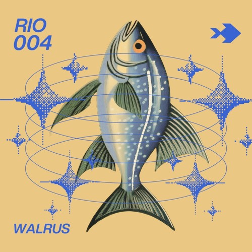 Rio 004 - Walrus (recorded live at Bonanza 2024)