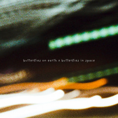 butterflies in space