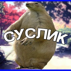 Суслик