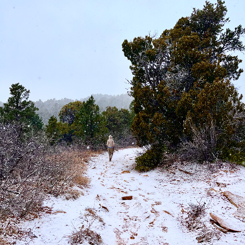 diamonds in the snow