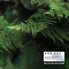 Beacon Bloom Radio 004 - Live at Burning Man Esplanade