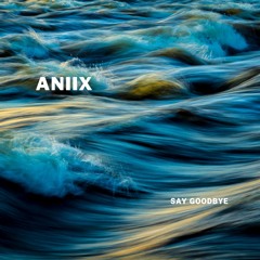 ANIIX - Say Goodbye (id)