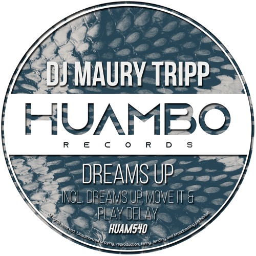 DJ Maury Tripp - Play Delay (Original Mix)