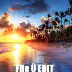 Euro Trash & Elvira T X SAYMYNAME - Karate X Run It Up [File Ü EDIT]