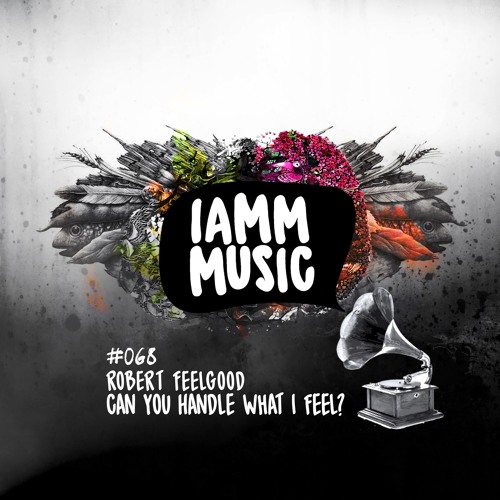 Robert Feelgood - Can You Handle What I Feel