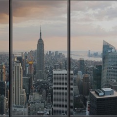 Manhattan Window Views
