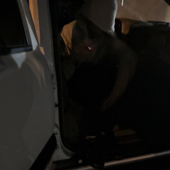 slaq - load (novemberhated) [BALLER EXCLUSIVE]