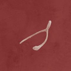 Gimme Love (I Feel It) [Prod. Pacific]