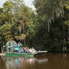 Review Special Price Small-Group Airboat Swamp Tour With Downtown New Orleans Pickup
