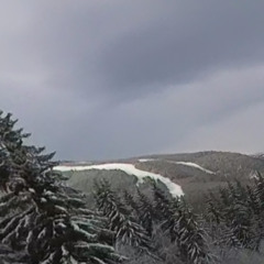 Daily Workout Vol. 12(Setcut)