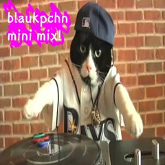 blaukpchn - mini mix (babyxsosa, paxslim, pretty v, 454, oli xl, arca, coco & clair clair & others)