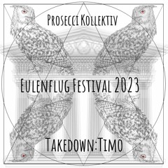 Takedown:Timo @ Eulenflug Festival 2023 [Hard Techno]