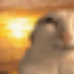 Niqoodimoos