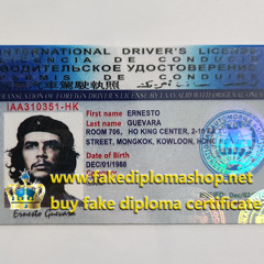 International Driver’s Licence