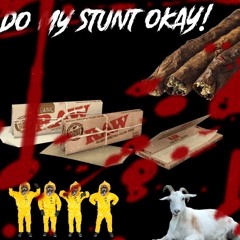 DO MY STUNT OKAY !