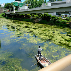 FISHING IN TOKYO