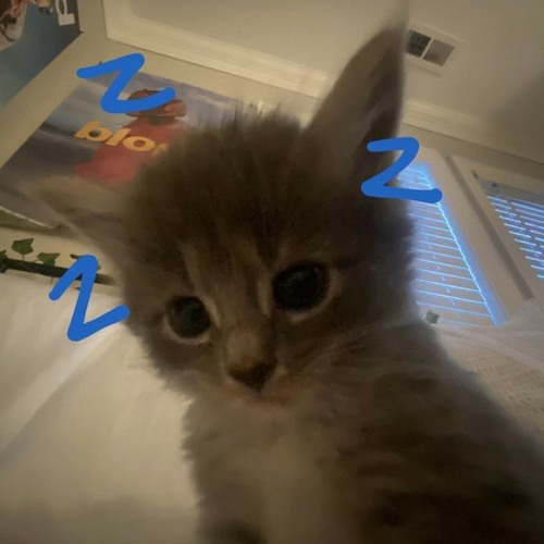 breakcore to make ur brain shut up