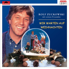 Fröhliche Weihnacht (Es ist soweit)