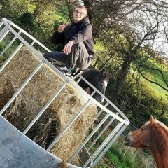 Horses Around The Hay Bale (Honey Tribute)