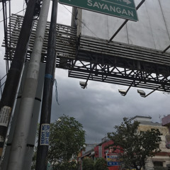 Plaza Avenue