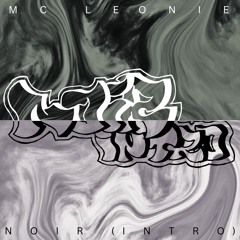 NOIR (INTRO) (prod. PAINHUNTER)