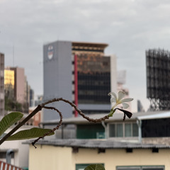 weekendboi || thoughts