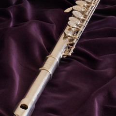 Echoes for Flute Solo by Maya Badian
