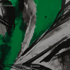 [SYN012] Little Alive - Too High