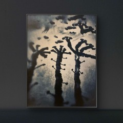 Collection 2 #1Surplombe